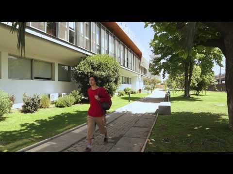 YO ELEGI LA USM - FEDERICO