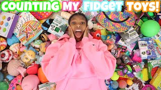 Counting All Off My Organized Fidget Toy Collection! Very Funny!