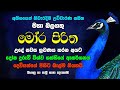 මෝර පිරිත Mora Piritha Moora Piritha Seth Pirith Raagha Shrie බලගතු පි