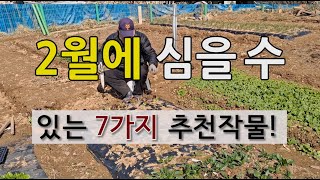 2월에 심을 수 있는 7가지 추천 작물 #2월에 심는 작물 #주말농장 #텃밭 가꾸기