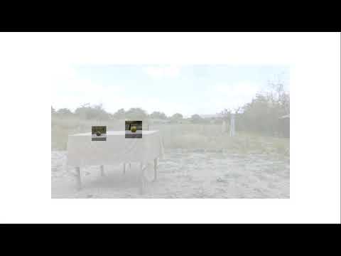 Bryce Dessner - Suite for harp (2017)