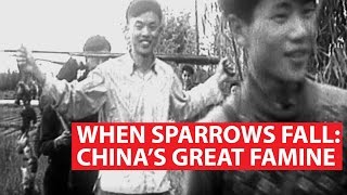 When Sparrows Fall: China&#39;s Great Famine | Asian Century