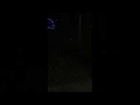 veliki pirat orion pirotehnika