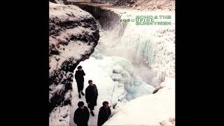 Echo &amp; The Bunnymen - Porcupine