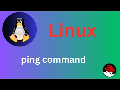 2450 Basic Linux Commands Ping Command Explained Shortsvideo Linux Linux_tutorial