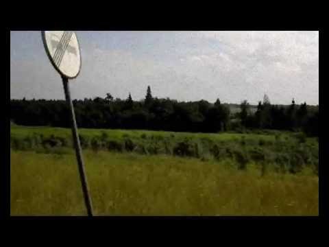 Kõrsikud - Must lind