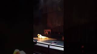 Tyler The Creator falling on stage