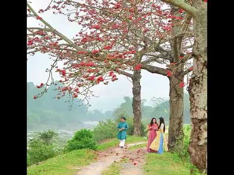 Tình cầm - Trọng Khải