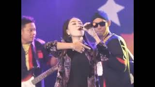 Download lagu Safira Inema - Wes Oleh Ganti || Story'wa Terbaru mp3