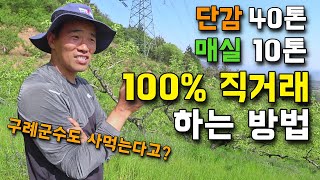 주변 지인들에게는 절대 판매하지 않는다? 14,000평 매실&단감 농부 [매실&단감 농사] 3부