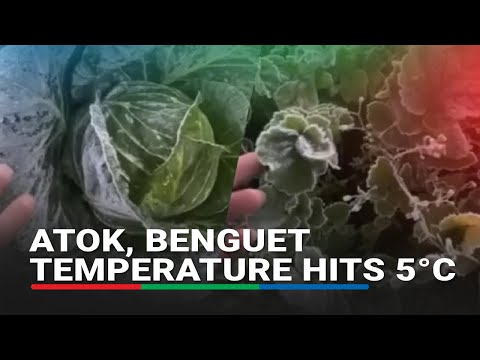 Temperatura sa Atok, Benguet bumagsak sa 5°C, mga pananim at sasakyan nabalot sa yelo | ABS-CBN News