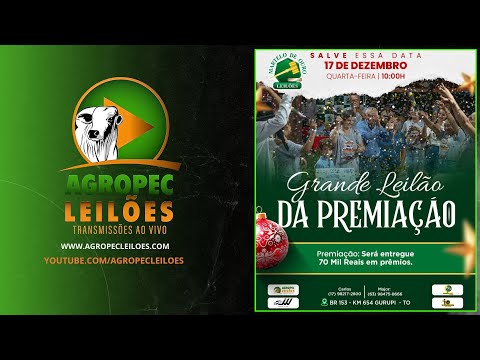 agropecleiloes.com GRANDE LEILÃO DA PREMIAÇÃO | MARTELO DE OURO LEILÕES - GURUPI-TO 17/12/2025.