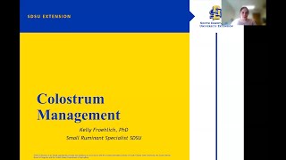Colostrum Management for Sheep & Goats