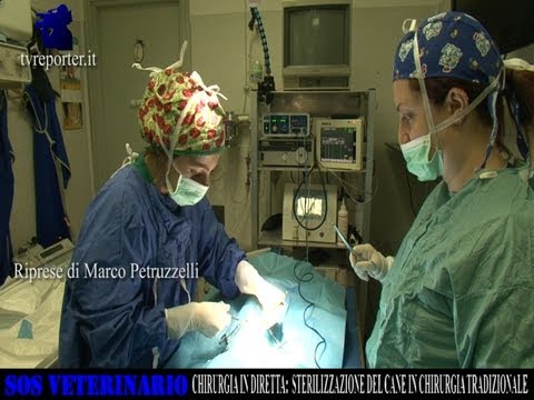 Artrosi deformante del ginocchio 1 grado che curare Un inferno di dolore nellarticolazione