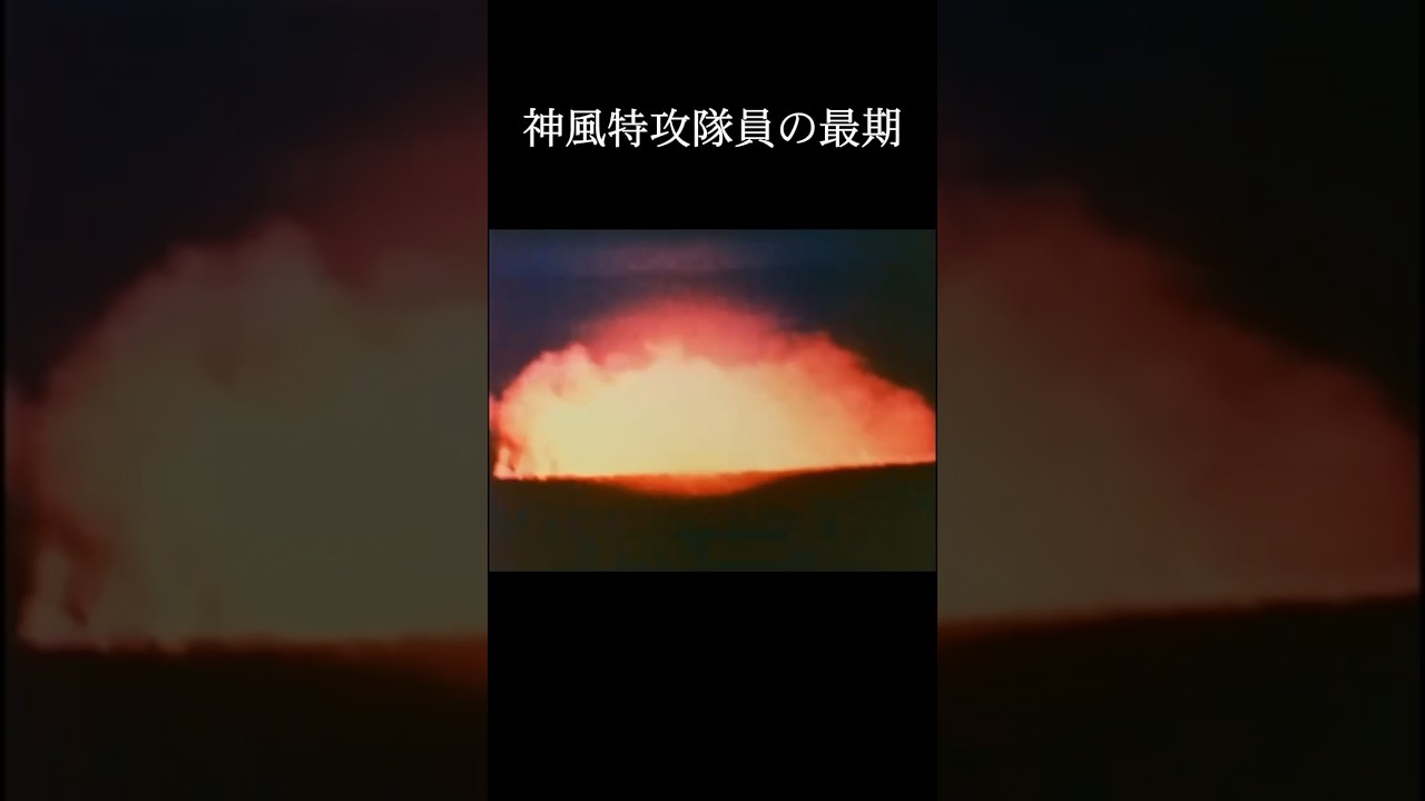 【キミガタメ】神風特別攻撃隊の実際の映像を集めました④#神風 #太平洋戦争 #神風特別攻撃隊 #戦争と平和 #shorts