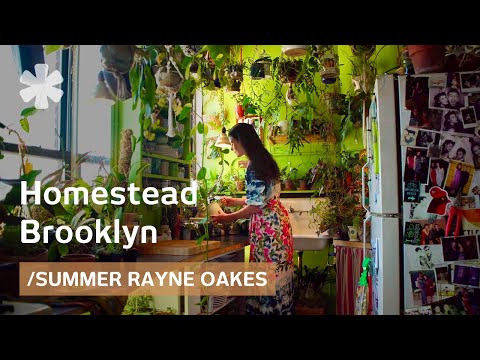 Homestead Brooklyn: model creates urban forest in her NYC flat