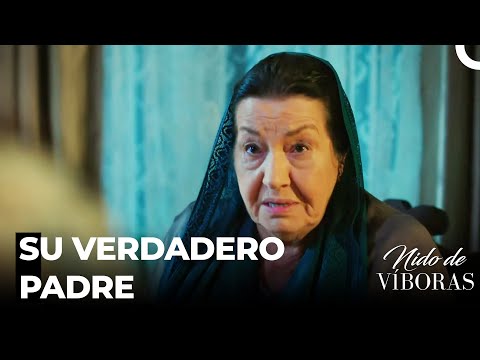 Son Temas Intensas - Nido De Víboras