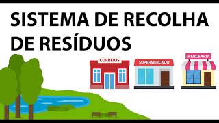 piloto b2w