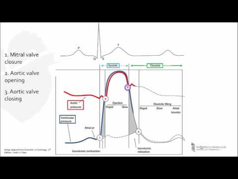 Left Ventricular Pressure-Time Curve