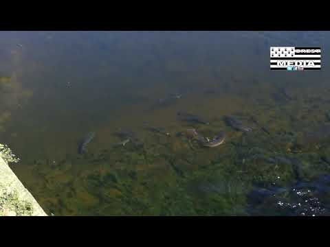 Visite du pont habité de Landerneau (31/05/2019 - Finistère)