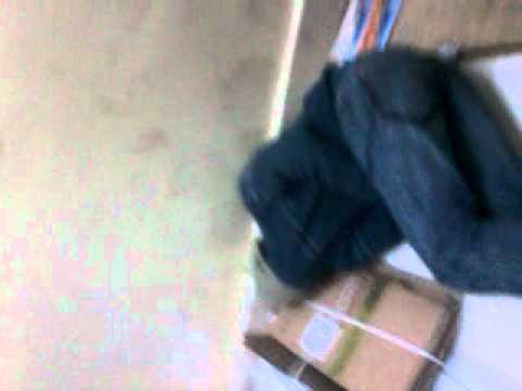 el peo podrio del pool.3gp