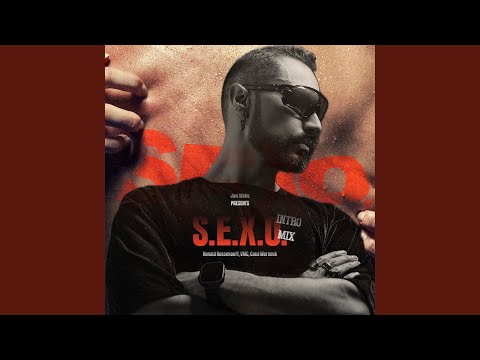 S. E. X. O. (Special Remix)