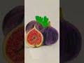 Fig Drawing