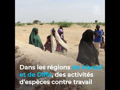 Au Niger, les actions anticipées de la FAO protègent les moyens d’existence ruraux