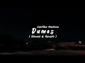 DUMES - Cantika Davinca ( Slowed & Reverb )