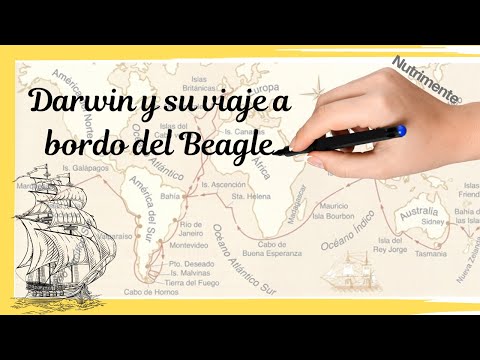 Darwin y su viaje a bordo del Beagle