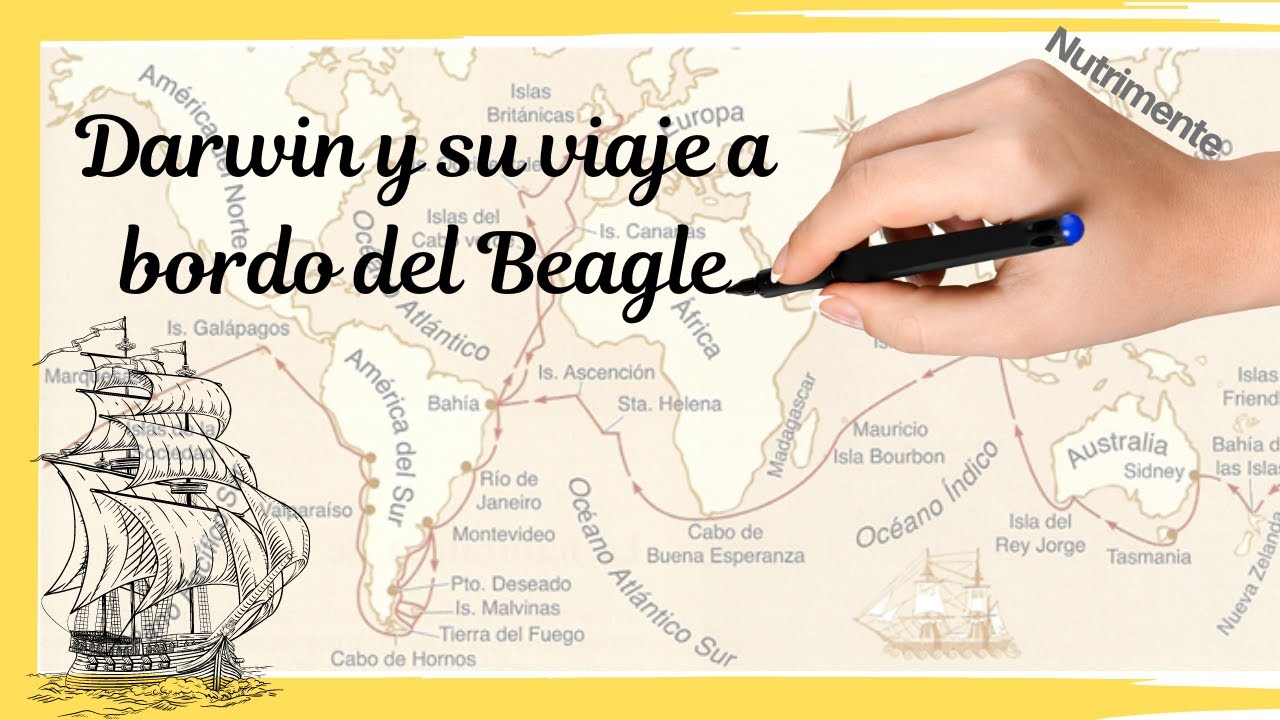 Darwin y su viaje a bordo del Beagle