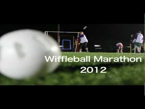 Wiffle Ball Nintendo DS