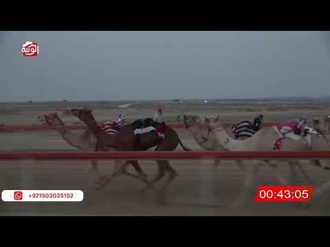  ش 2 (الشبابي) لـ احمد بن مطر الرميثي 2:12 ، شارة الصندوق 2026/07/19 فطامين السمحه