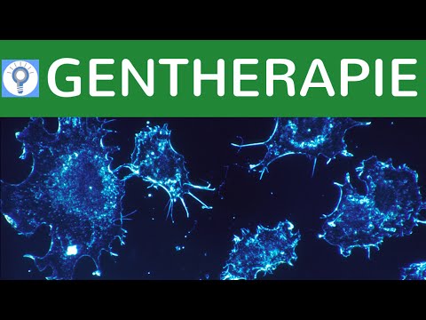 Gentherapie / Somatische Gentherapie - Gentherapie bei Krebs & an der Leber einfach erklärt