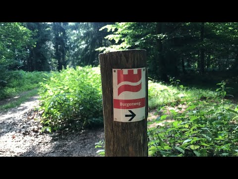 Der Burgenweg - Wandern im Pfälzer Wald