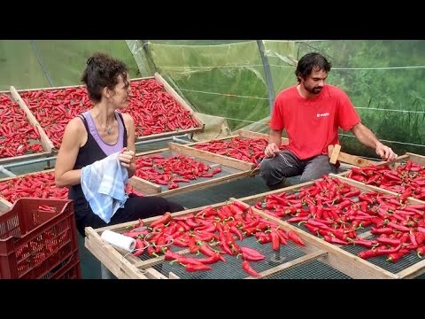 [Doku] Das Baskenland in Frankreich [HD]