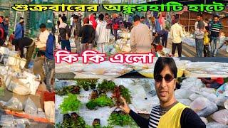 Ankurhati Pet Market | Aquarium Fish Howrah Fish Market | Ankurhati Fish Market | Pet Market 