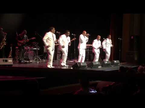 The Best Intentions-Live