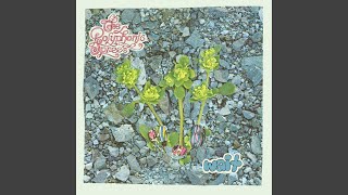 The Polyphonic Spree - Topic