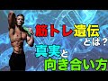 遺伝の真実と本当の自分との向き合い方【筋トレ】