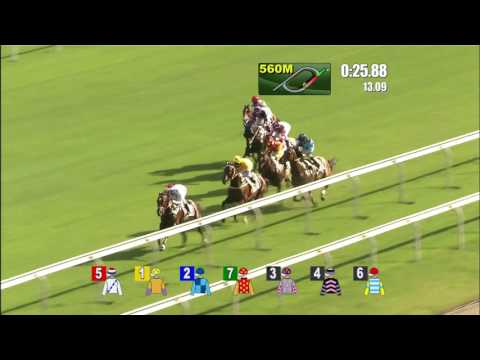 [National Day Race Meeting 2016] AMAZING KIDS wins National Day Cup 2016