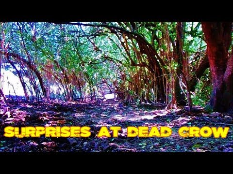Arrowhead Hunting - Surprises at Dead Crow Video