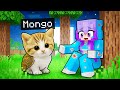 Playing As A BABY MEOWL BRAINROT In Minecraft