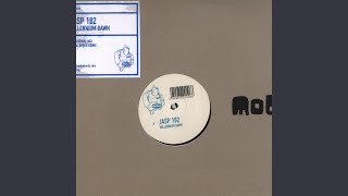 Millennium Dawn (Nubreed Remix)