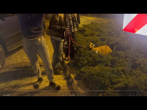 11ctms - Jestesmy outside