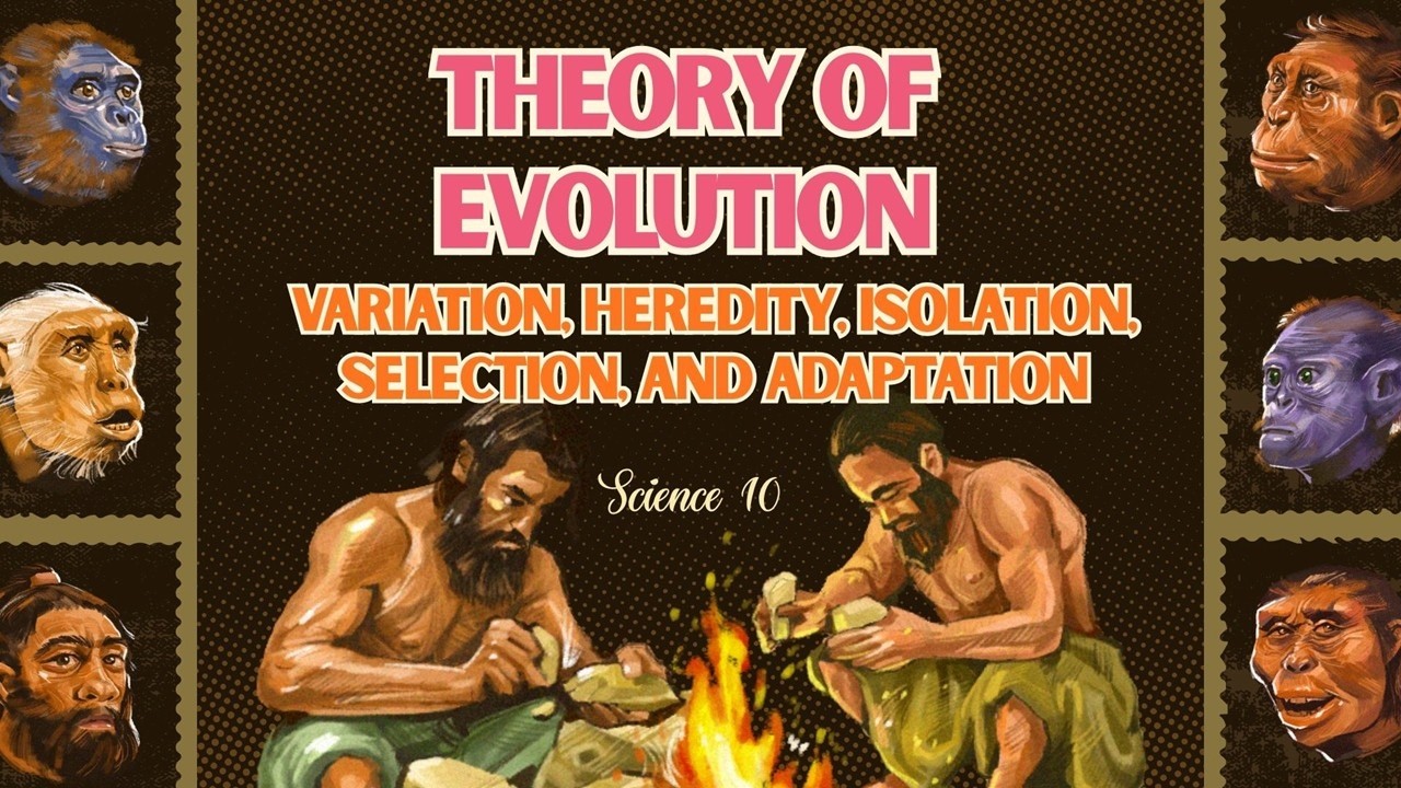 Term 1 Science 10 | Lesson 11: VARIATION, HEREDITY, ISOLATION, ADAPTATION  | MATATAG Curriculum