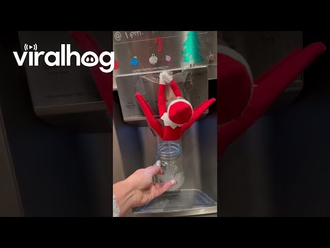 When You Let Your Kids Move the Elf on the Shelf || ViralHog