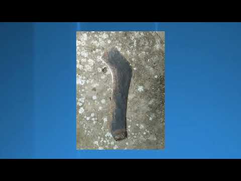 Mulher é agredida com golpe de foice em Lago dos Rodrigues Maranhão