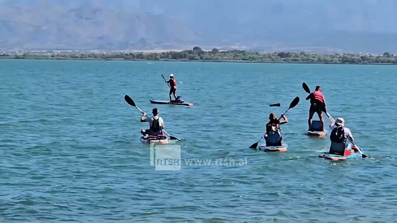 Turizmi sfidon ekosistemin e Shkodrës, ADZM apel për lëvizje të kontrolluar të mjeteve lundruese