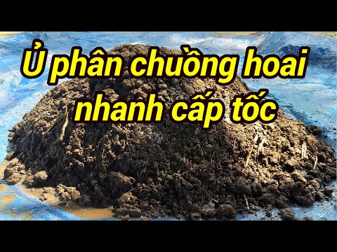 , title : 'Cách Ủ Phân Chuồng Nhanh Hoai Mục | how to decompose cow dung manure | Phan Đức #09'
